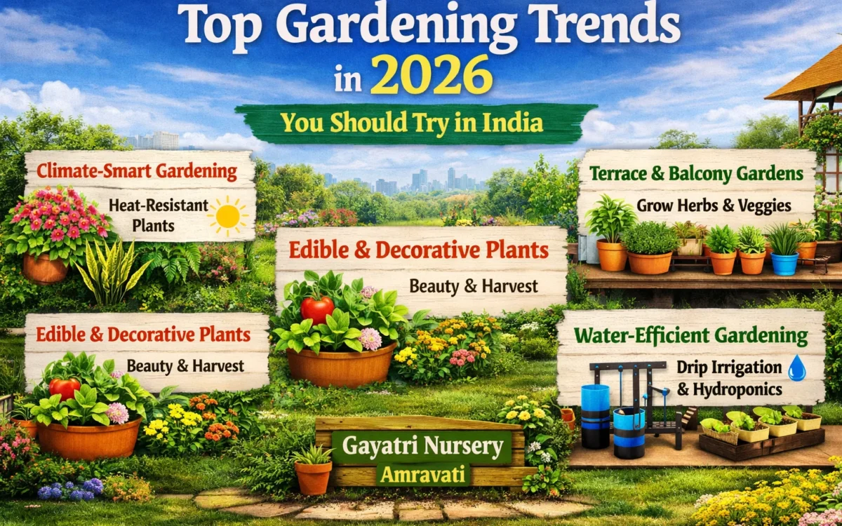 Top gardening trends in 2026 in India including terrace gardening, climate-smart plants and water-efficient gardening